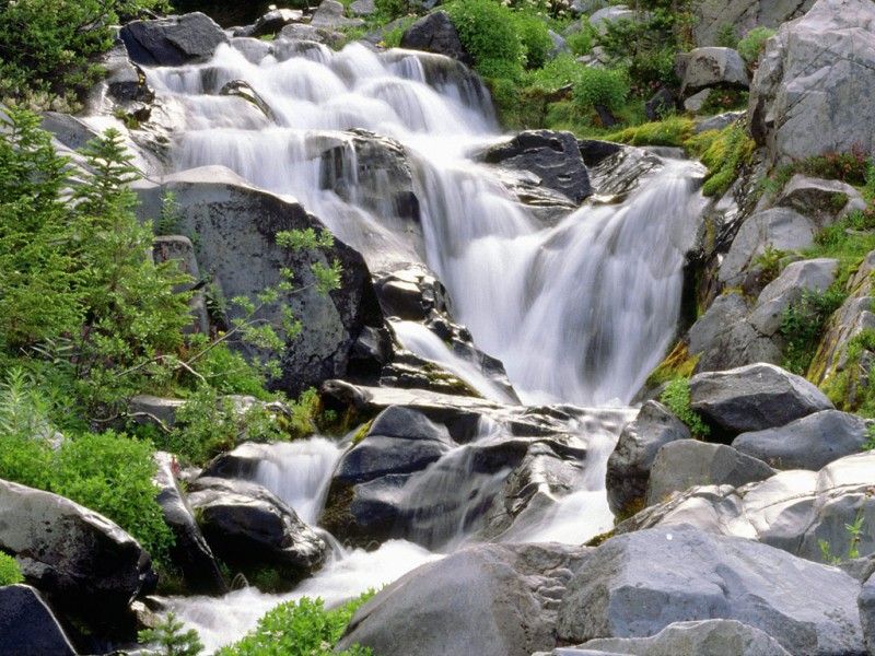 paradise-river-800.jpg